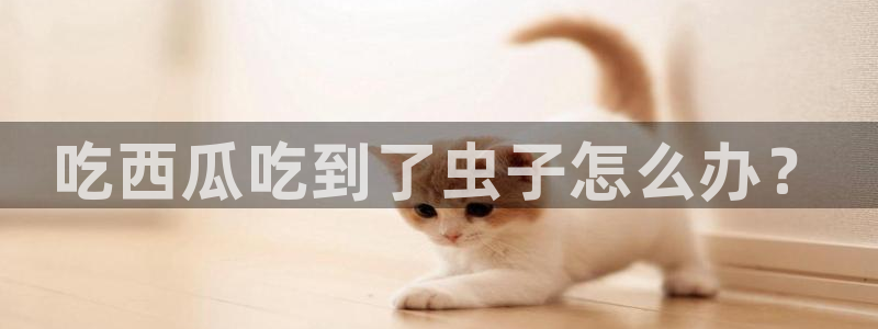 51吃瓜网每日榜单