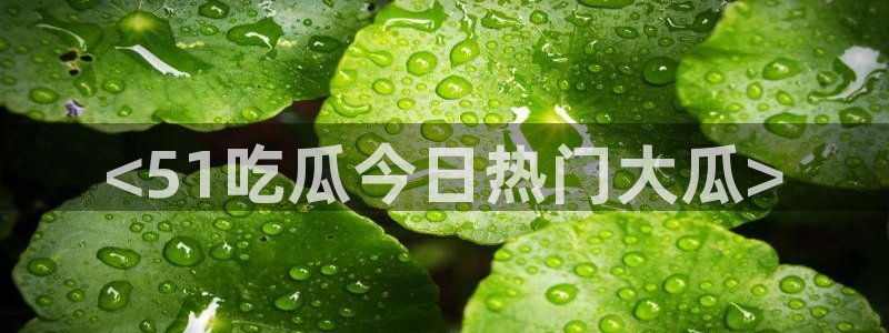 51吃瓜全网更新最快点