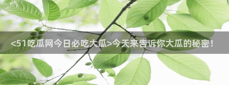 吃瓜.：<51吃瓜网今日必吃大瓜>今天来告诉你大瓜的秘密！