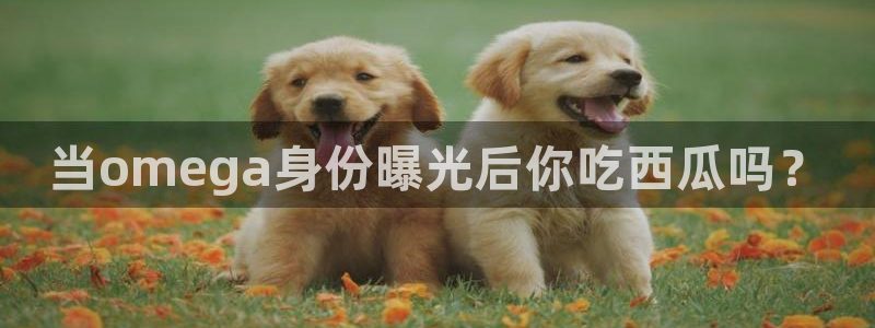 51吃瓜.world张津瑜