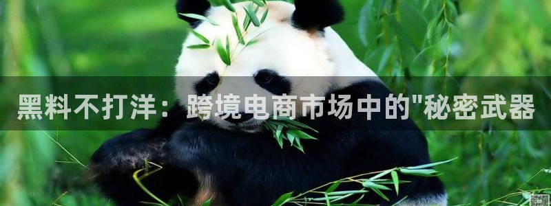 51吃瓜网热门黑料