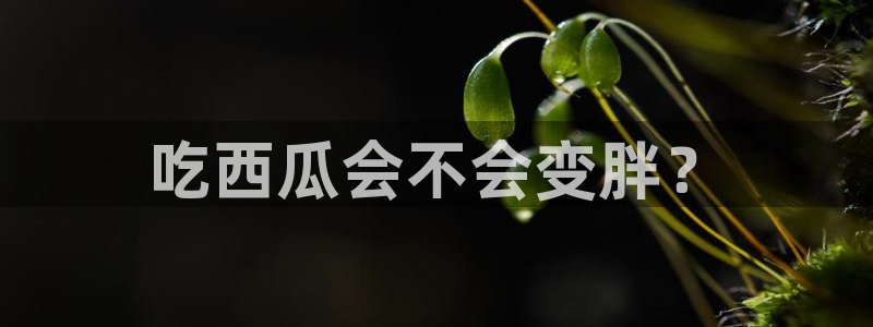 吃瓜吃到自己死讯
