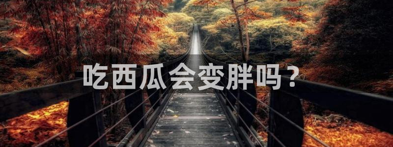 吃瓜小说