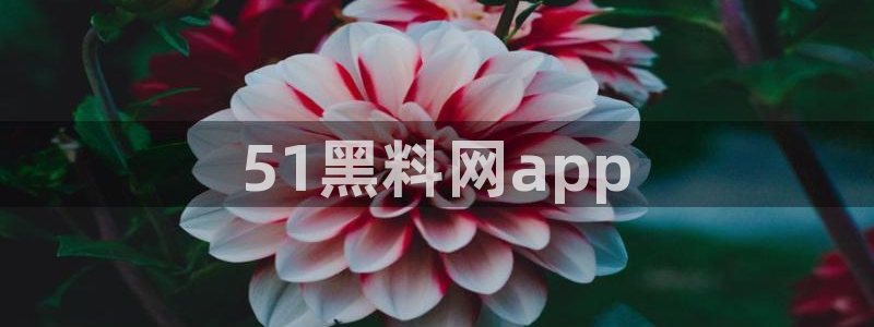 51吃瓜全网最快的吃瓜网站：51黑料网app