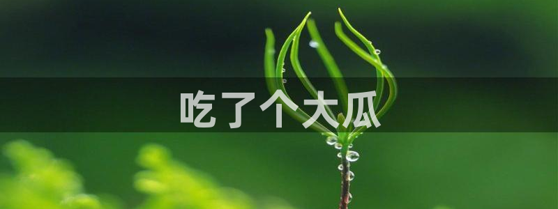 五一吃瓜今日必吃：吃了个大瓜