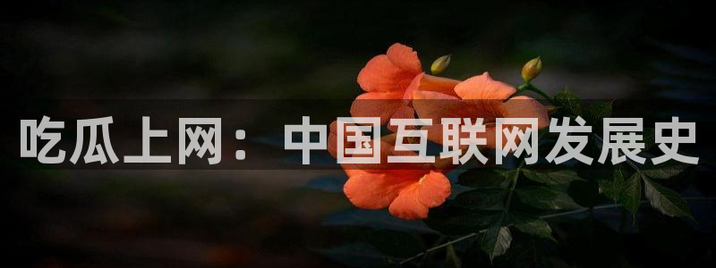 51全网更新最快最全的吃瓜网：吃瓜上网：中国互联网发展史