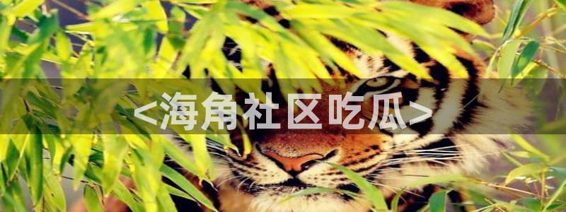51吃瓜网今日吃瓜入口：<海角社区吃瓜>