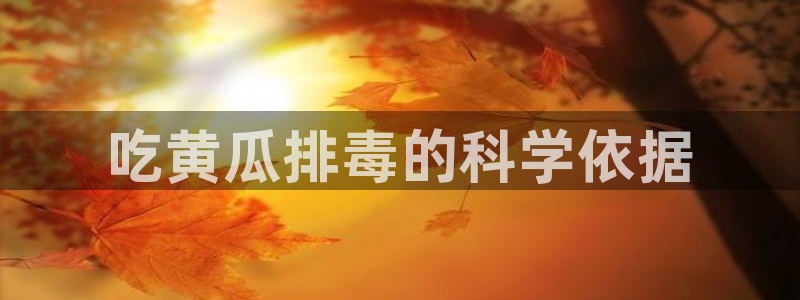 www.黑料.com