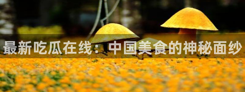 高血糖能吃籽瓜吗：最新吃瓜在线：中国美食的神秘面纱