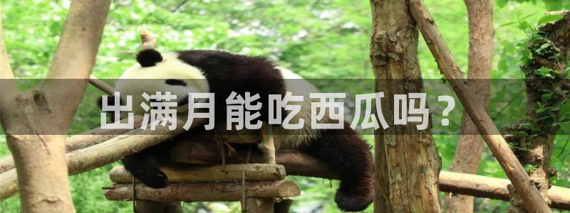 吃瓜不打烊–吃瓜,不打烊