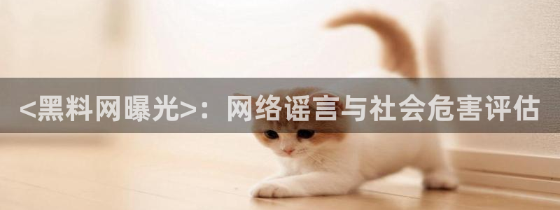 吃瓜新闻：<黑料网曝光>：网络谣言与社会危害评估