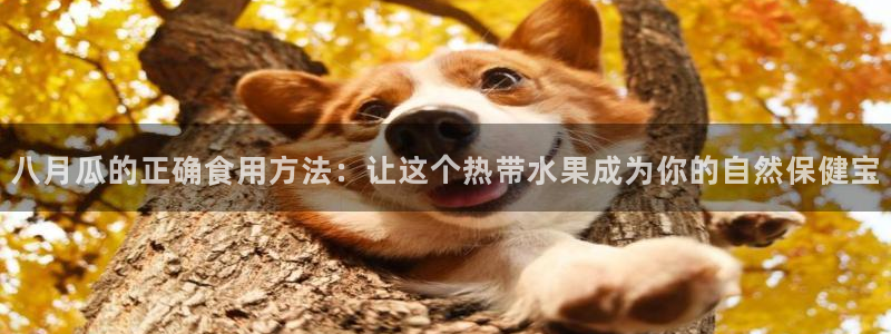 51吃瓜热门吃瓜：八月瓜的正确食用方法：让这个热带水果成为你的自然保健宝