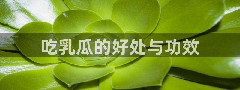 吃瓜网是全网更新最快：吃乳瓜的好处与功效