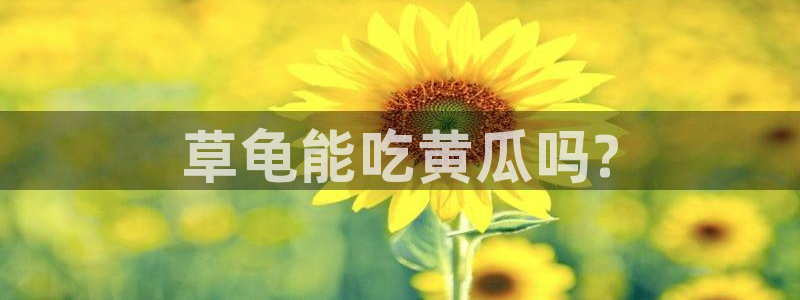 黑料：草龟能吃黄瓜吗?