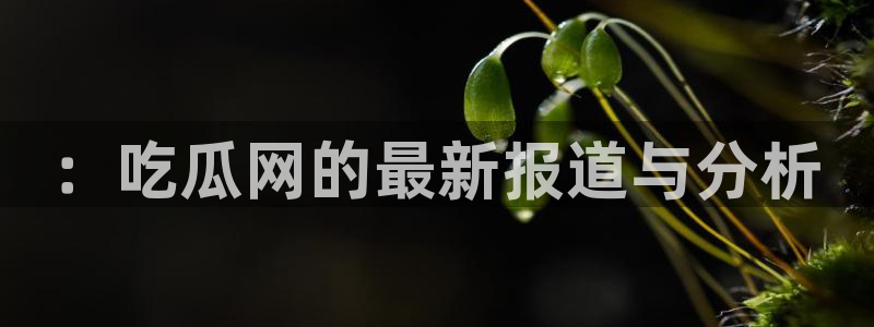51吃瓜张津瑜：：吃瓜网的最新报道与分析