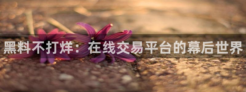 五一吃瓜今日必吃:黑料不打烊:在线交易平台的幕后世界