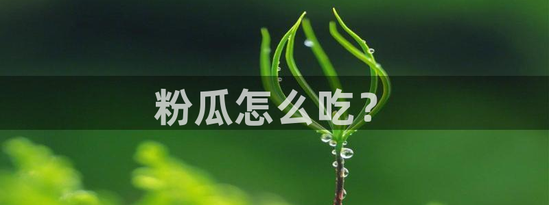 长生武道从九龙夺嫡开始吃瓜:粉瓜怎么吃?