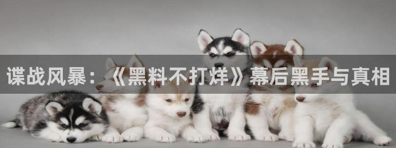 ccgg.ct今日吃瓜：谍战风暴：《黑料不打烊》幕后黑手与真相