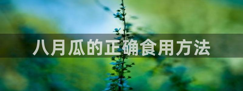 51全网更新最快最全的吃瓜网：八月瓜的正确食用方法